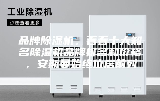 品牌除湿机，看看十大知名除湿机品牌排名和价格，安斯曼始终位居前列