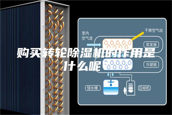 购买转轮除湿机的作用是什么呢？