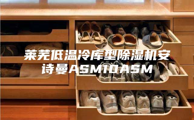 莱芜低温冷库型除湿机安诗曼ASM10ASM