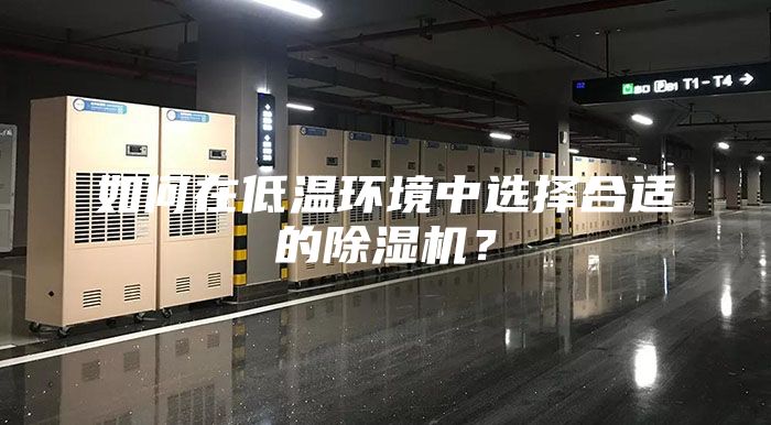 如何在低温环境中选择合适的除湿机？
