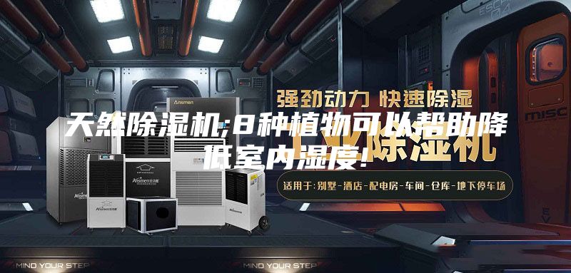 天然除湿机;8种植物可以帮助降低室内湿度!