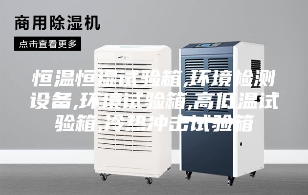 恒温恒湿试验箱,环境检测设备,环境试验箱,高低温试验箱,冷热冲击试验箱