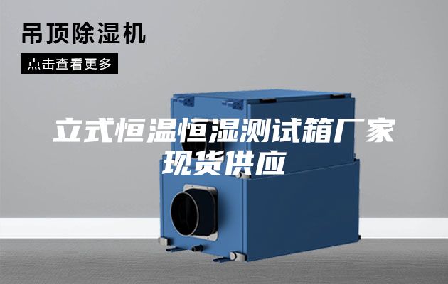 立式恒温恒湿测试箱厂家现货供应