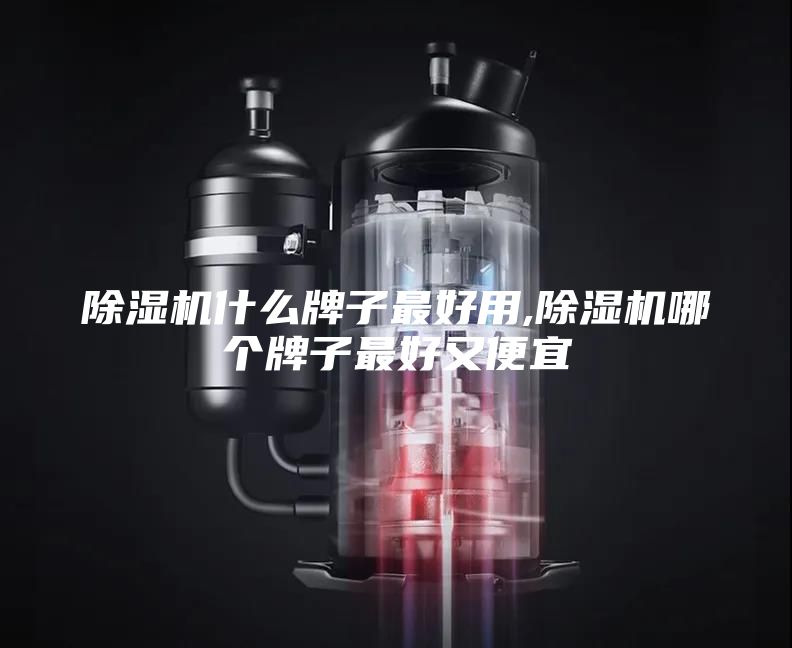 除湿机什么牌子最好用,除湿机哪个牌子最好又便宜