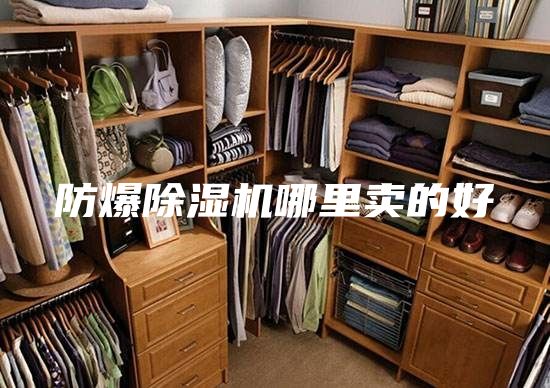 防爆除湿机哪里卖的好