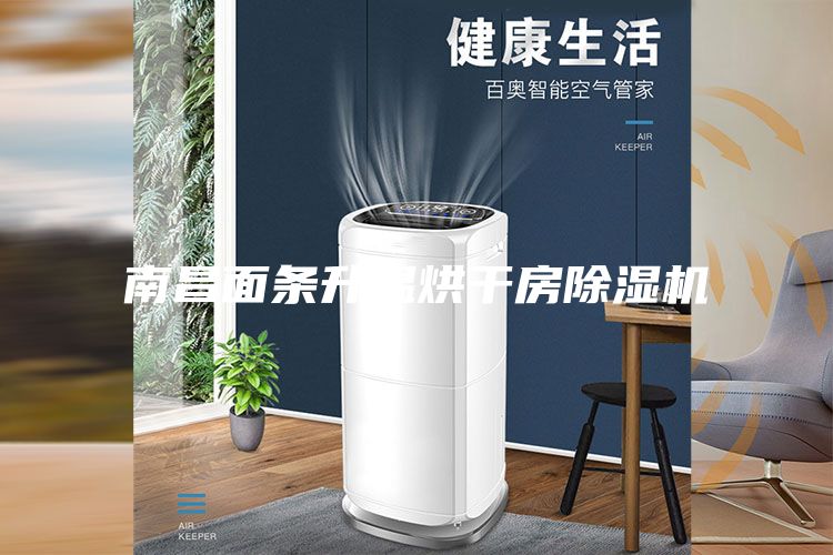 南昌面条升温烘干房除湿机