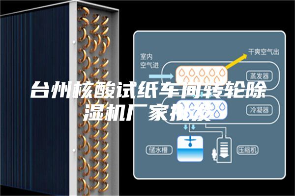 台州核酸试纸车间转轮除湿机厂家批发