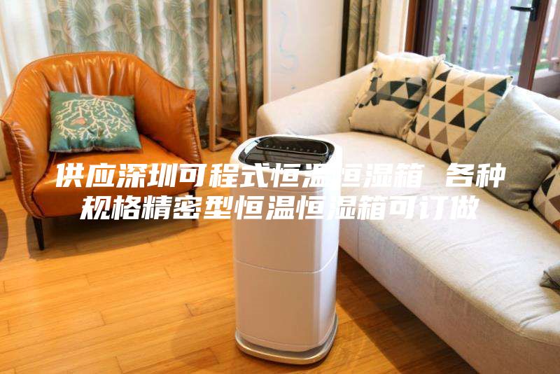 供应深圳可程式恒温恒湿箱 各种规格精密型恒温恒湿箱可订做