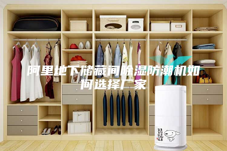 阿里地下储藏间除湿防潮机如何选择厂家