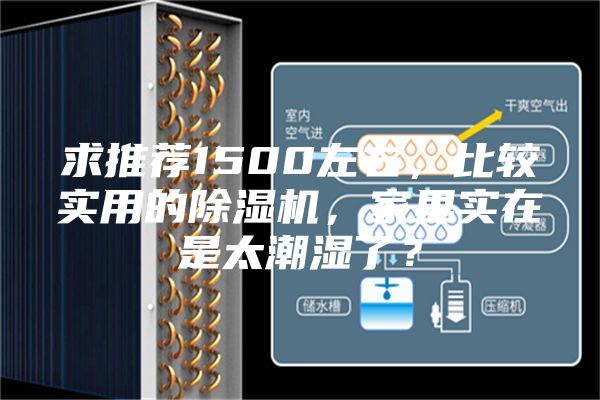 求推荐1500左右，比较实用的除湿机，家里实在是太潮湿了？