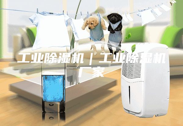 工业除湿机｜工业除湿机厂家