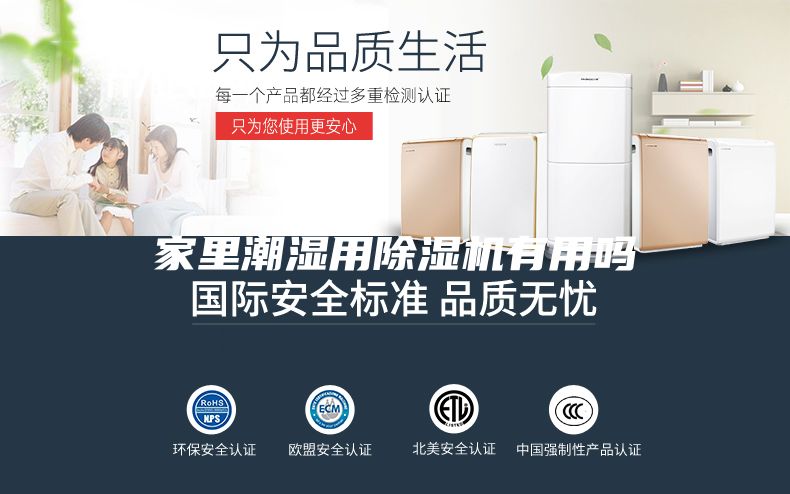 家里潮湿用除湿机有用吗