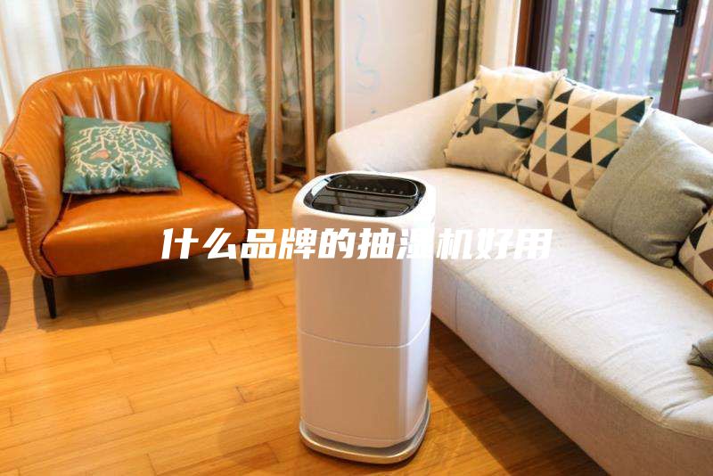 什么品牌的抽湿机好用
