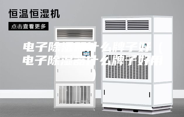 电子除湿器什么牌子好（电子除湿器什么牌子好用）