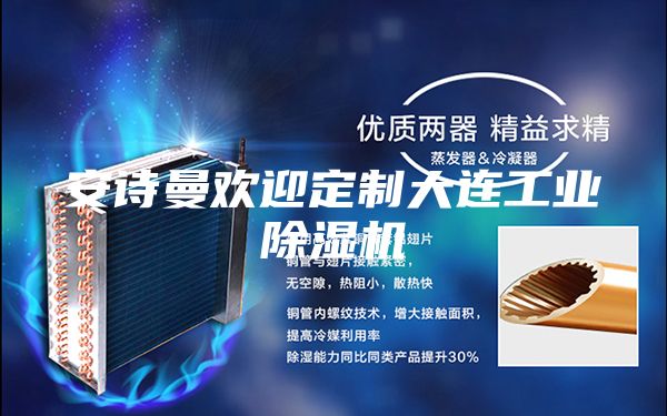 安诗曼欢迎定制大连工业除湿机