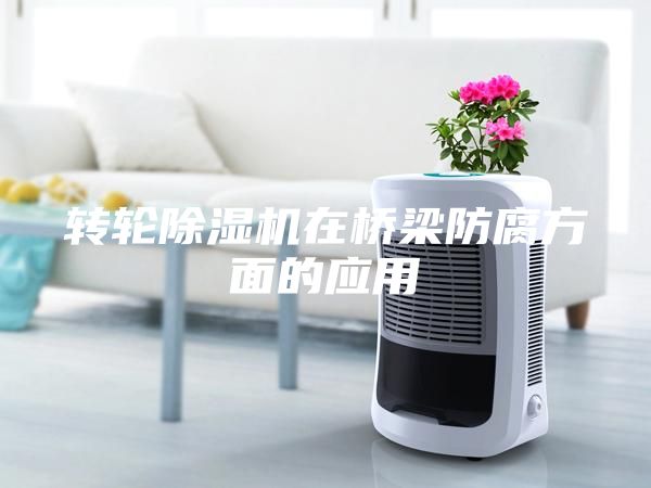 转轮除湿机在桥梁防腐方面的应用