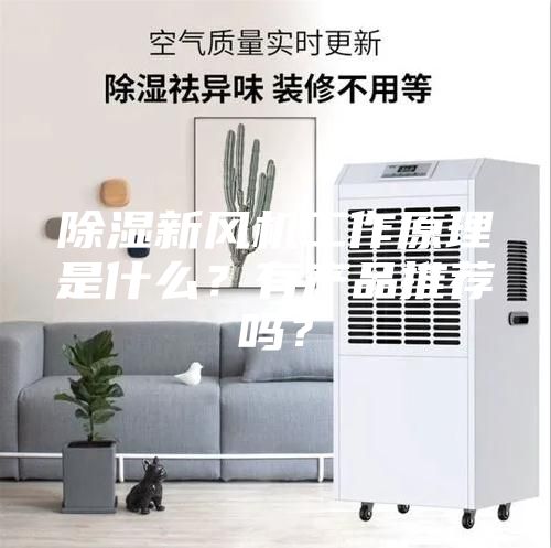 除湿新风机工作原理是什么？有产品推荐吗？