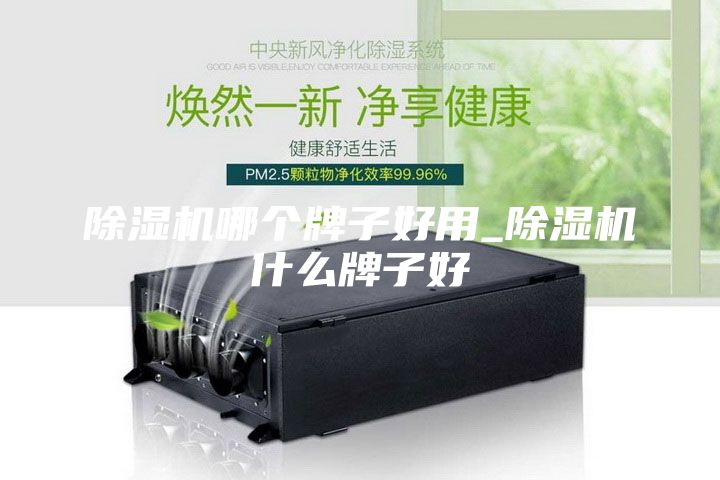 除湿机哪个牌子好用_除湿机什么牌子好