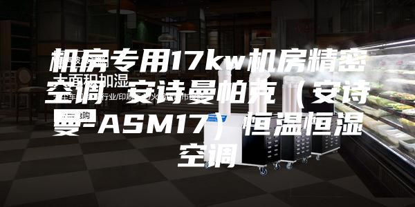 机房专用17kw机房精密空调 安诗曼帕克（安诗曼-ASM17）恒温恒湿空调