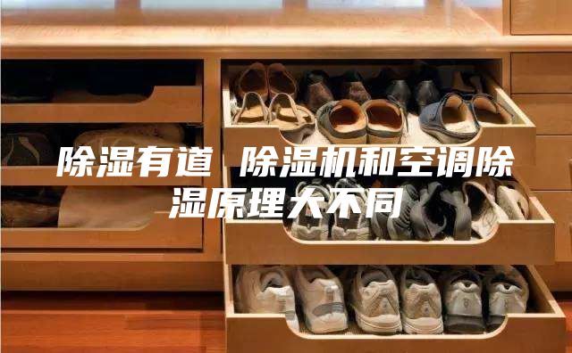 除湿有道 除湿机和空调除湿原理大不同