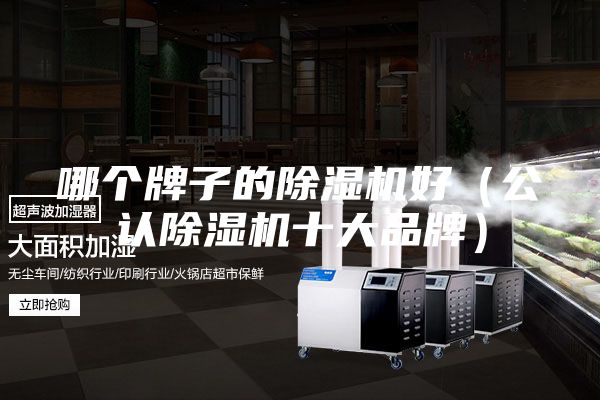 哪个牌子的除湿机好（公认除湿机十大品牌）