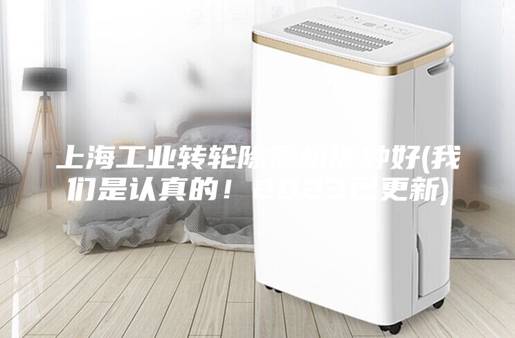 上海工业转轮除湿机哪种好(我们是认真的！2023已更新)