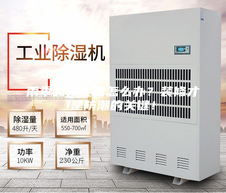 雨季频发发霉怎么办？装修才是防潮的关键！