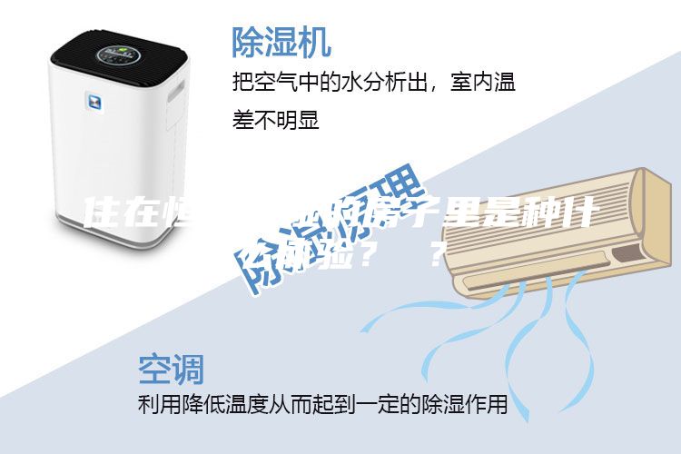 住在恒温恒湿的房子里是种什么体验？ ？