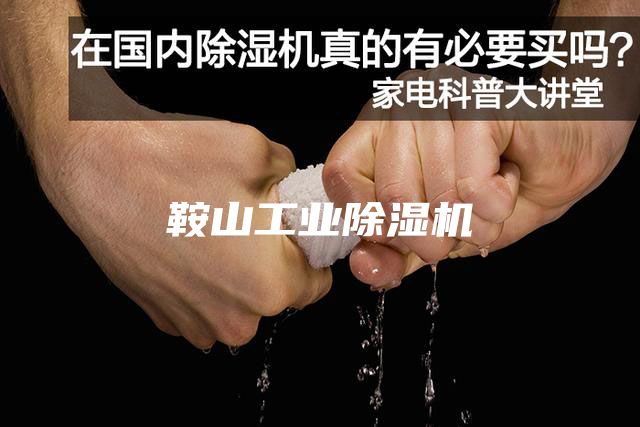 鞍山工业除湿机