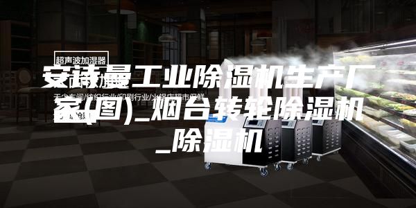 安诗曼工业除湿机生产厂家(图)_烟台转轮除湿机_除湿机