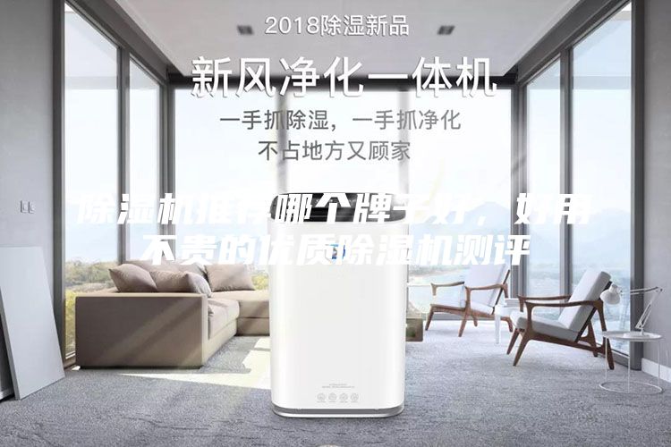 除湿机推荐哪个牌子好，好用不贵的优质除湿机测评