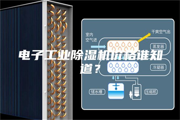 电子工业除湿机价格谁知道？