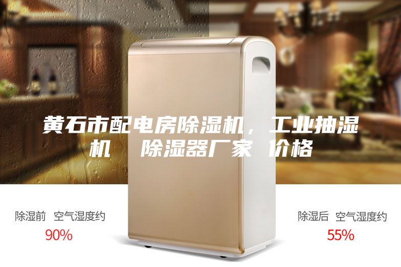 黄石市配电房除湿机，工业抽湿机  除湿器厂家 价格
