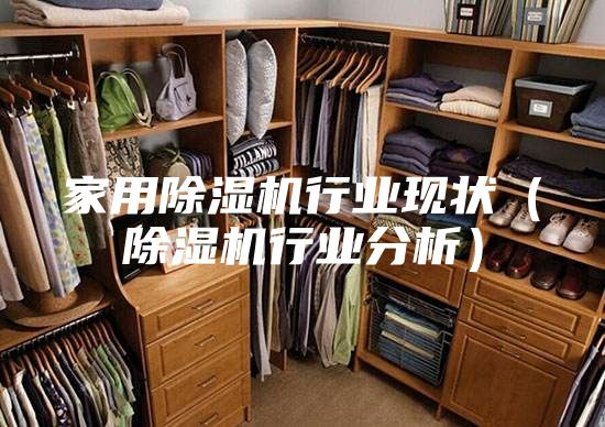 家用除湿机行业现状（除湿机行业分析）
