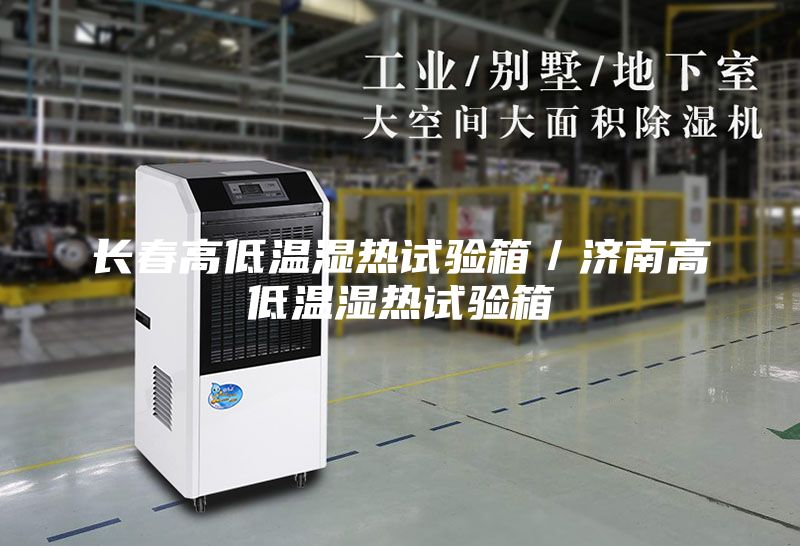 长春高低温湿热试验箱／济南高低温湿热试验箱