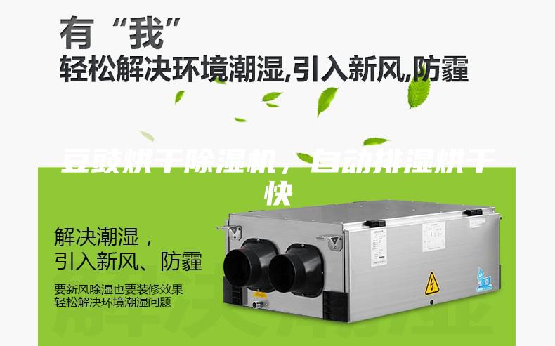 豆豉烘干除湿机，自动排湿烘干快