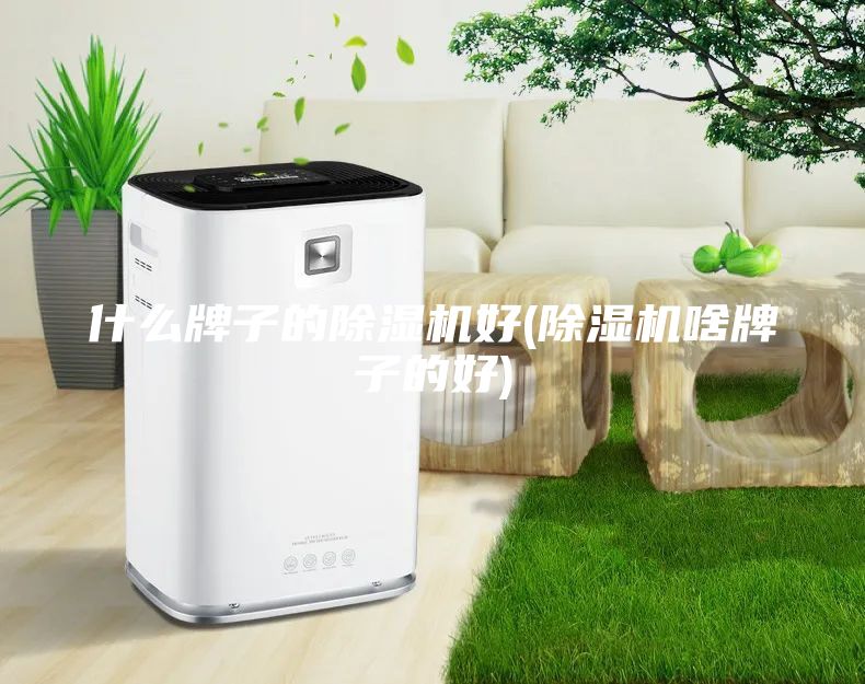 什么牌子的除湿机好(除湿机啥牌子的好)