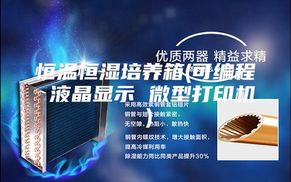 恒温恒湿培养箱(可编程 液晶显示 微型打印机）