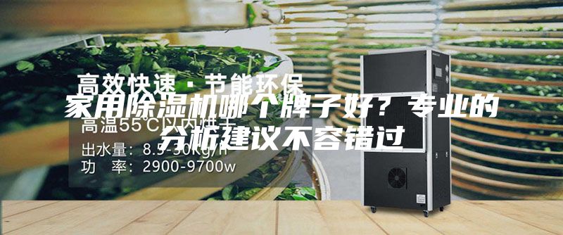 家用除湿机哪个牌子好？专业的分析建议不容错过