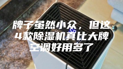牌子虽然小众，但这4款除湿机真比大牌空调好用多了