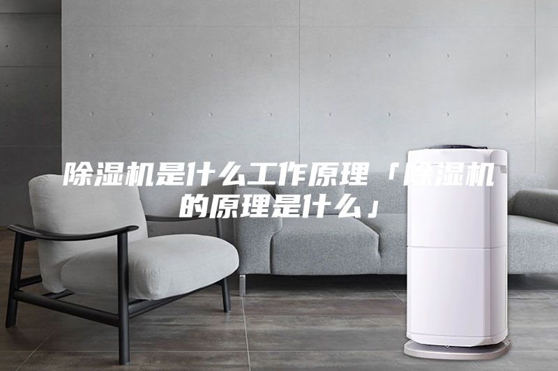 除湿机是什么工作原理「除湿机的原理是什么」