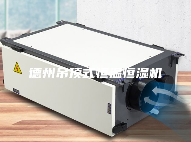 德州吊顶式恒温恒湿机