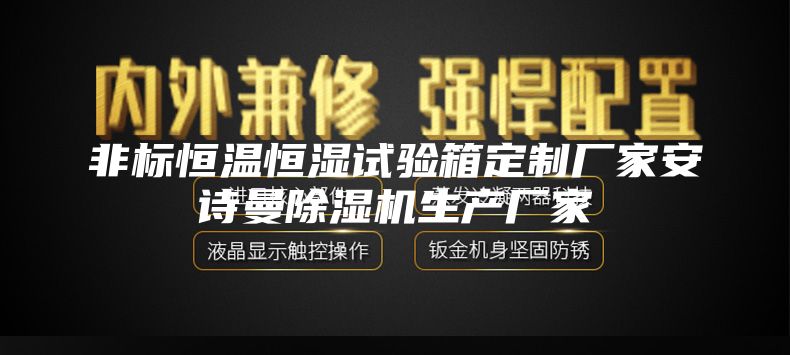 非标恒温恒湿试验箱定制厂家安诗曼除湿机生产厂家
