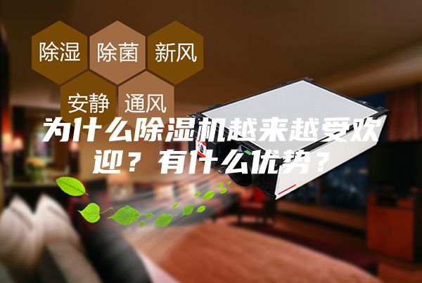 为什么除湿机越来越受欢迎？有什么优势？