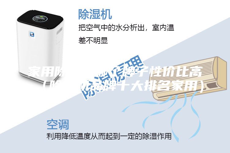 家用除湿机哪个牌子性价比高（除湿机品牌十大排名家用）