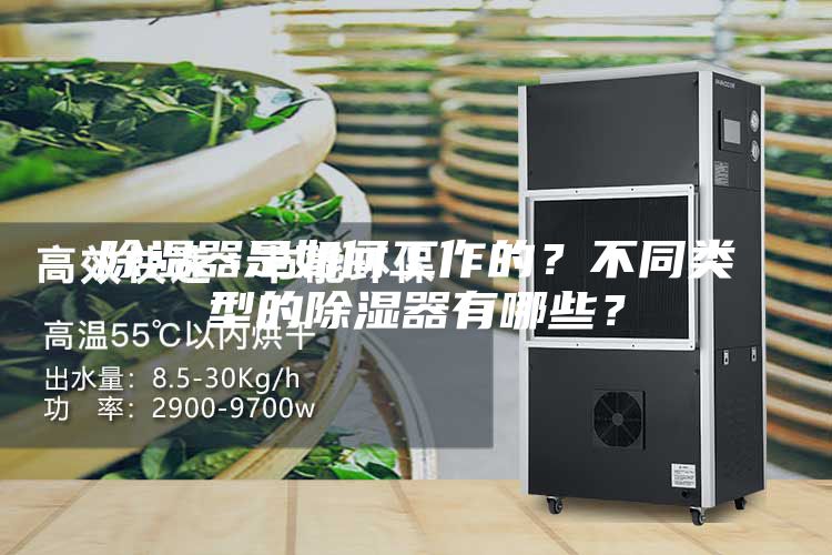 除湿器是如何工作的？不同类型的除湿器有哪些？
