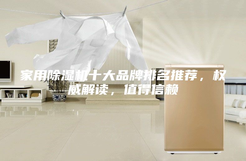 家用除湿机十大品牌排名推荐，权威解读，值得信赖