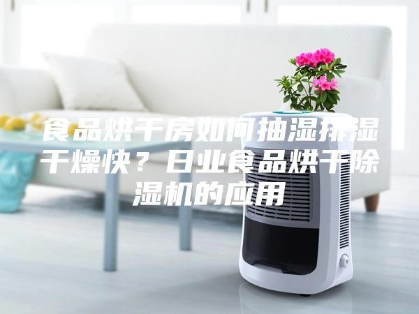 食品烘干房如何抽湿排湿干燥快？日业食品烘干除湿机的应用