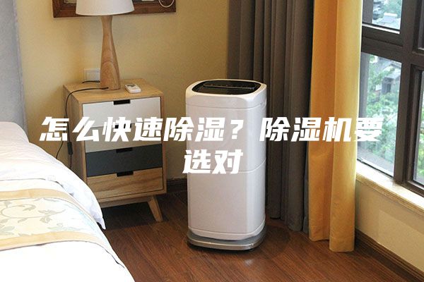 怎么快速除湿？除湿机要选对