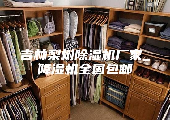 吉林梨树除湿机厂家_降湿机全国包邮